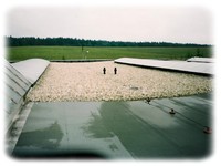 Střechy Boleslav Bříza
