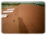 Střechy Boleslav Bříza