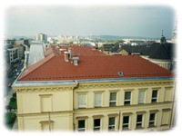 Střechy Boleslav Bříza